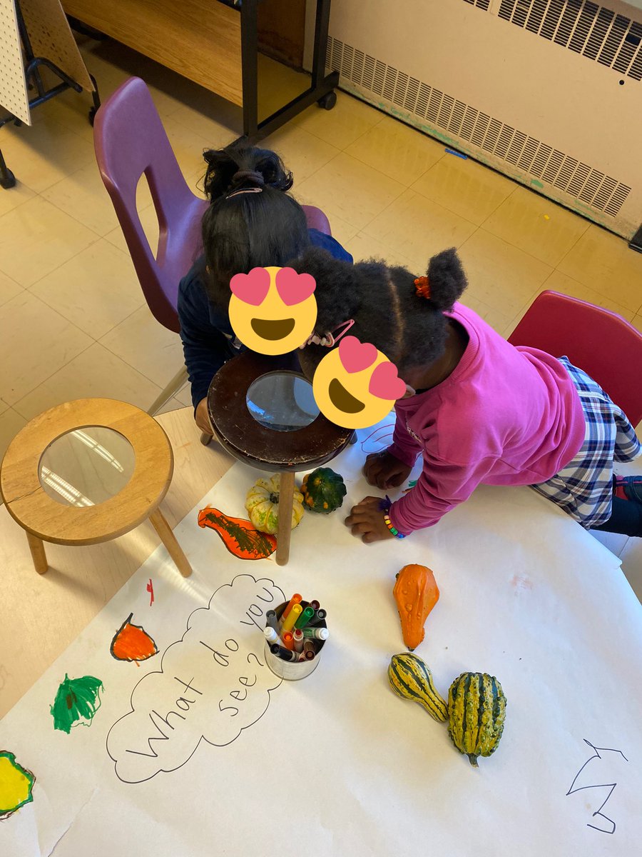 Ruthanne Boehmer (@rboehmer_ed) on Twitter photo The great gourd investigation of fall 2022! 🔎 <a href="/tdsb/">Toronto District School Board</a> <a href="/CookPublic/">Norman Cook Public School</a> The great gourd investigation of fall 2022! 🔎 <a href="/tdsb/">Toronto District School Board</a> <a href="/CookPublic/">Norman Cook Public School</a>