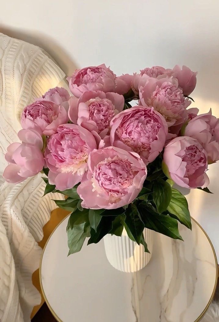 lunafleuri's tweet photo. Blooming peonies. https://t.co/7mNnMBcHxe
