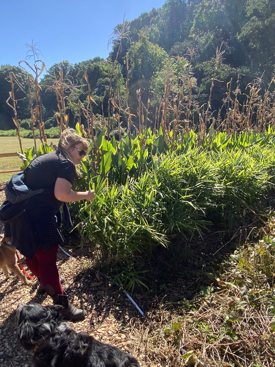 Luqman Abdur-Rahman tweet media