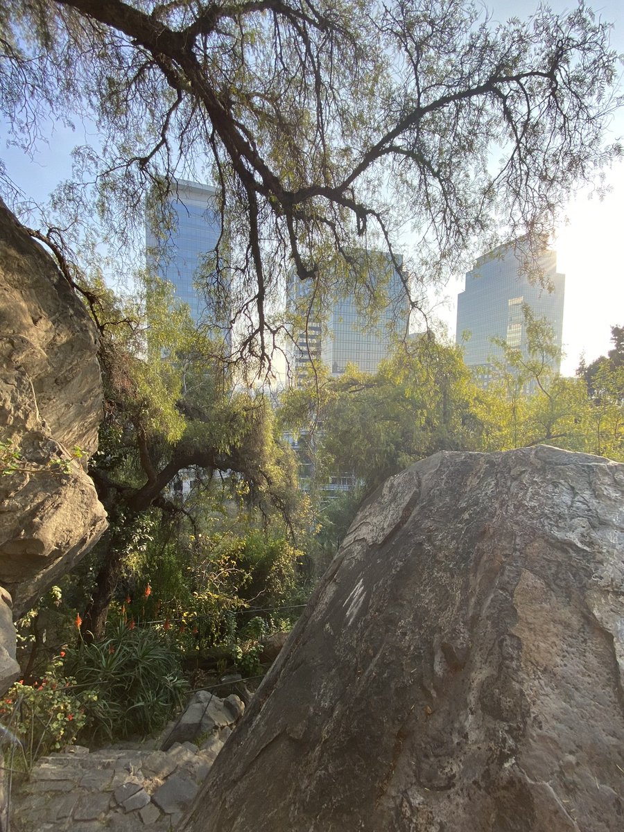 archambassador's tweet photo. "Basaltos columnares" cercanos a la cumbre del Cerro Santa Lucía en el centro de Santiago, considerado un "geositio" por su importancia geológica. Hace falta una indicación en el lugar porque es una de las características más importantes del cerro. @Muni_Stgo @santiagoadicto https://t.co/kLr0YGQjsi