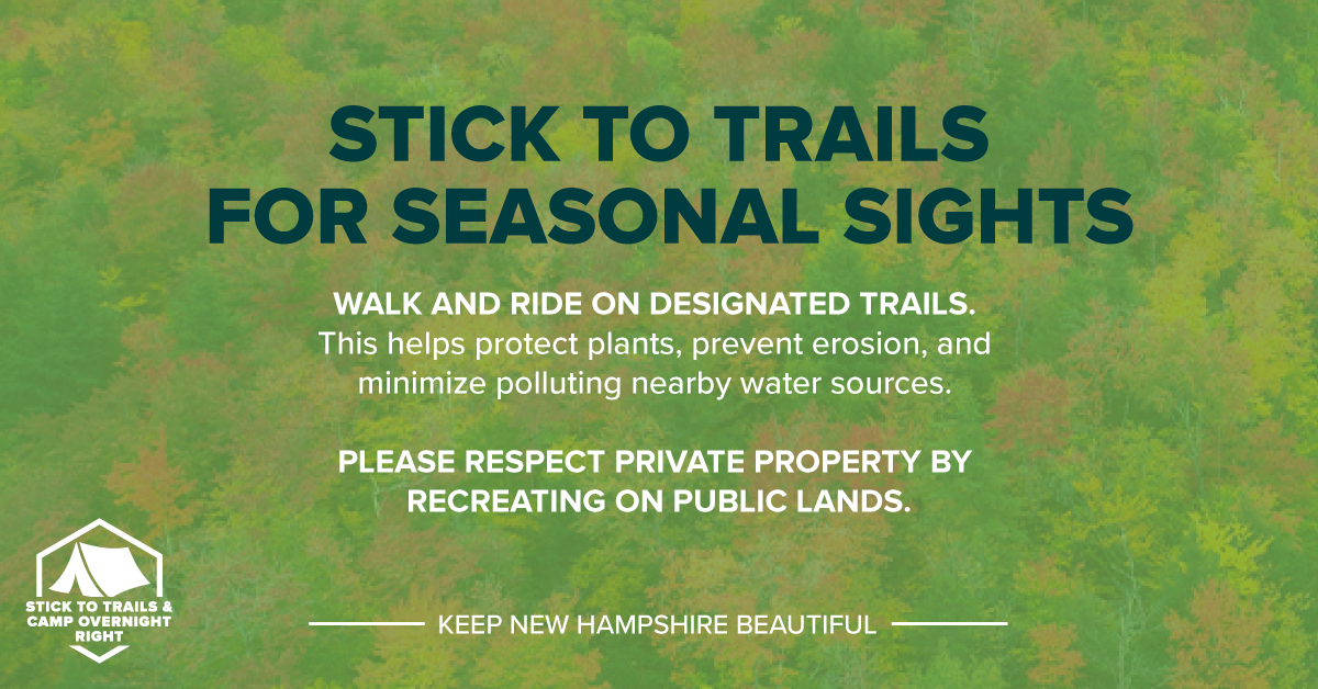 VisitNH's tweet photo. Discover New Hampshire’s spectacular fall foliage! Here are a few things to keep in mind when you do. https://t.co/C5Oy0zjKEd https://t.co/SSqhIcZLKm