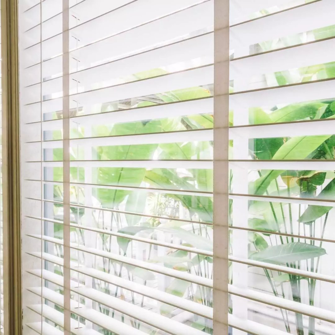 Transitions_LV's tweet photo. Window Treatment Trends 2022: Best Colors, Fabrics, and Ideas to Update Your Interior Design
Read More: https://t.co/Do5rBBzqVB
.
.
.
#LasVegas #Nevada #Shutters #WindowTreatments #WindowCoverings #WindowFashions #Blinds #Drapery #Shades #WindowTreatmentStore https://t.co/9tzZKnWGR5
