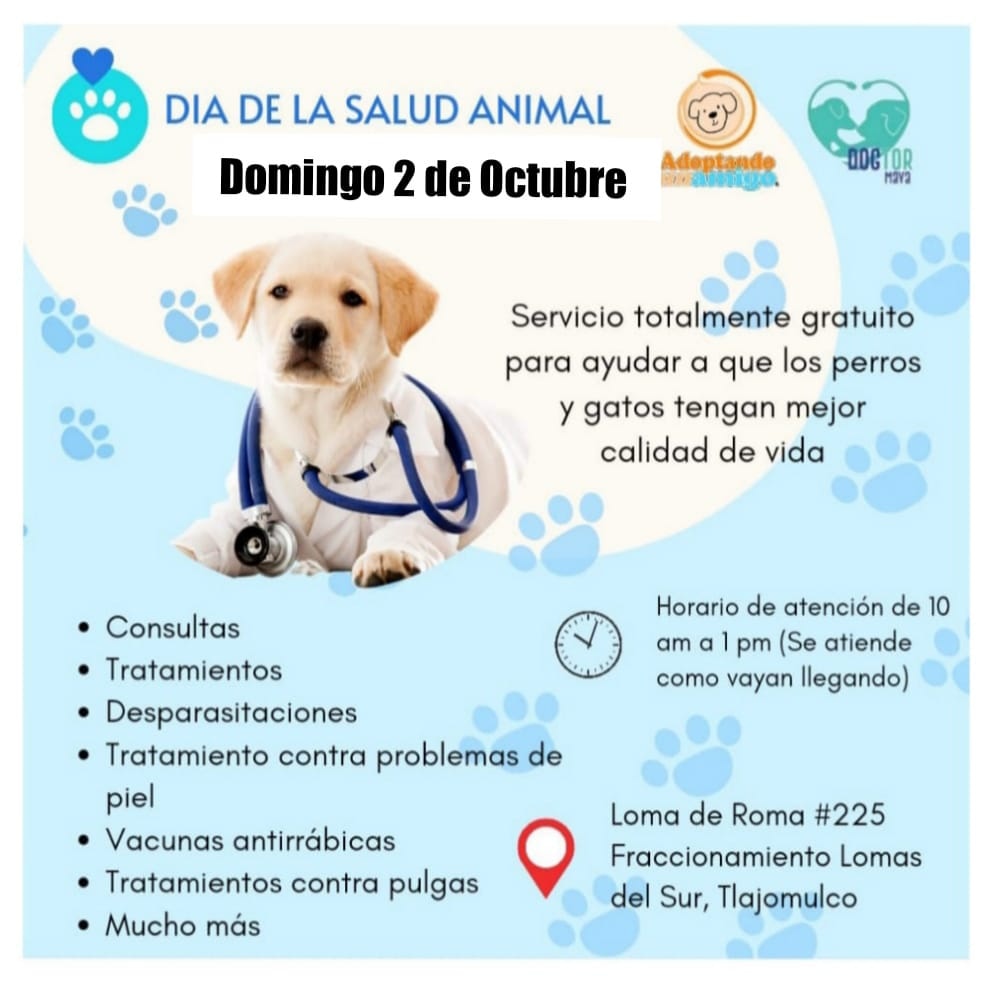 En el marco del "Día de la salud animal", desde la sociedad civil se organiza ésta macrocampaña de servicios gratuitos para 🐶 y🐱
Tendrán consultas, desparasitaciones, tratamiento contra pulgas y garrapatas, tratamiento contra problemas de piel y vacunas antirrábicas. 
Ver 👇