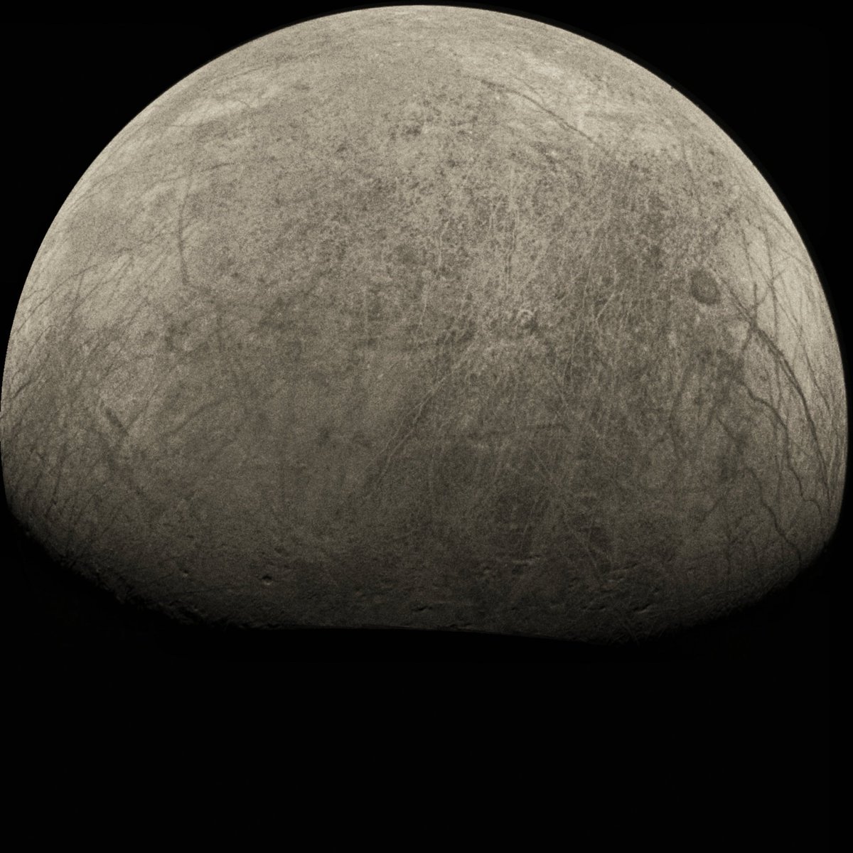SpaceNosey's tweet image. Llegan las primeras imágenes del sobrevuelo de @NASAJuno en #Europa.