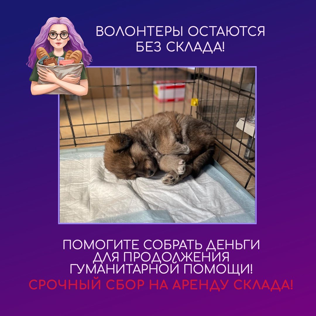 ililjkl's tweet photo. ❗❗❗❗
🆘️🆘️🆘️🆘️
Помогите собрать 150.000р на склад, для помощи людям в Украине/ беженцам из Украины🆘
( первый и последний месяц аренды +50% риелтору)

🔽🔽 https://t.co/U3POPAQBiN