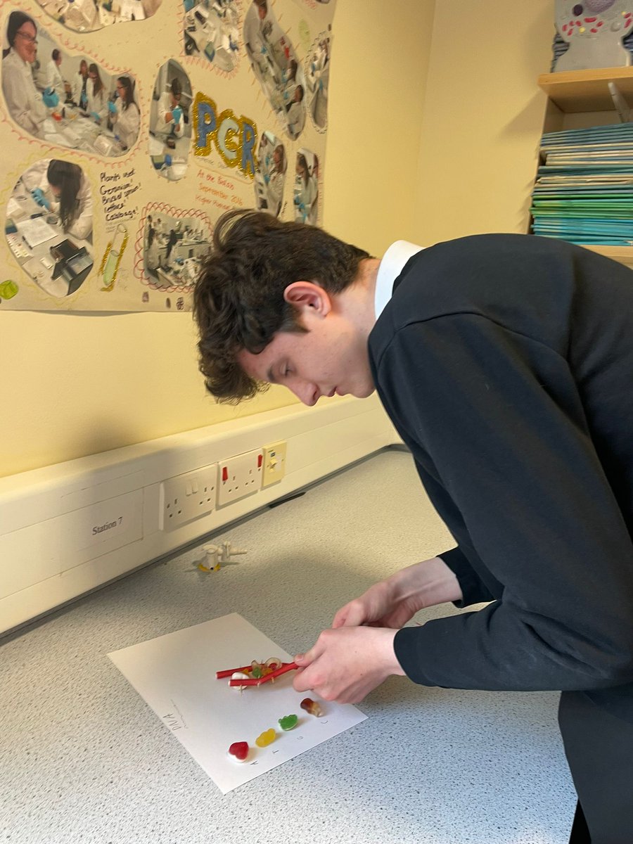 VoLA_sci's tweet image. S3 biology pupils have been busy making sweetie DNA models. Who knew science could be so yummy!

I once made a DNA joke but no-one laughed...

I guess my thymine was off!😂😂😂

#volasuperscientists #DNAmodels #bgebiology