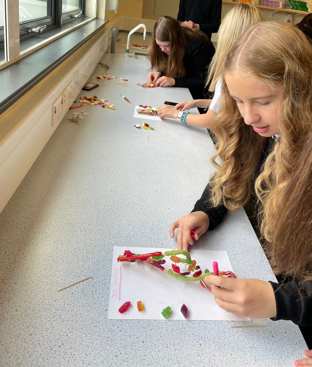 VoLA_sci's tweet image. S3 biology pupils have been busy making sweetie DNA models. Who knew science could be so yummy!

I once made a DNA joke but no-one laughed...

I guess my thymine was off!😂😂😂

#volasuperscientists #DNAmodels #bgebiology