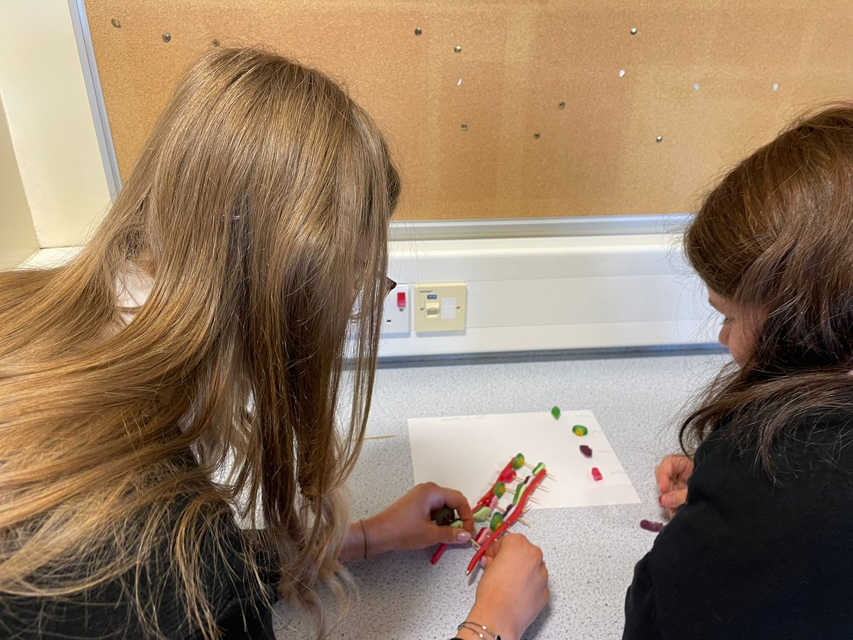 VoLA_sci's tweet image. S3 biology pupils have been busy making sweetie DNA models. Who knew science could be so yummy!

I once made a DNA joke but no-one laughed...

I guess my thymine was off!😂😂😂

#volasuperscientists #DNAmodels #bgebiology