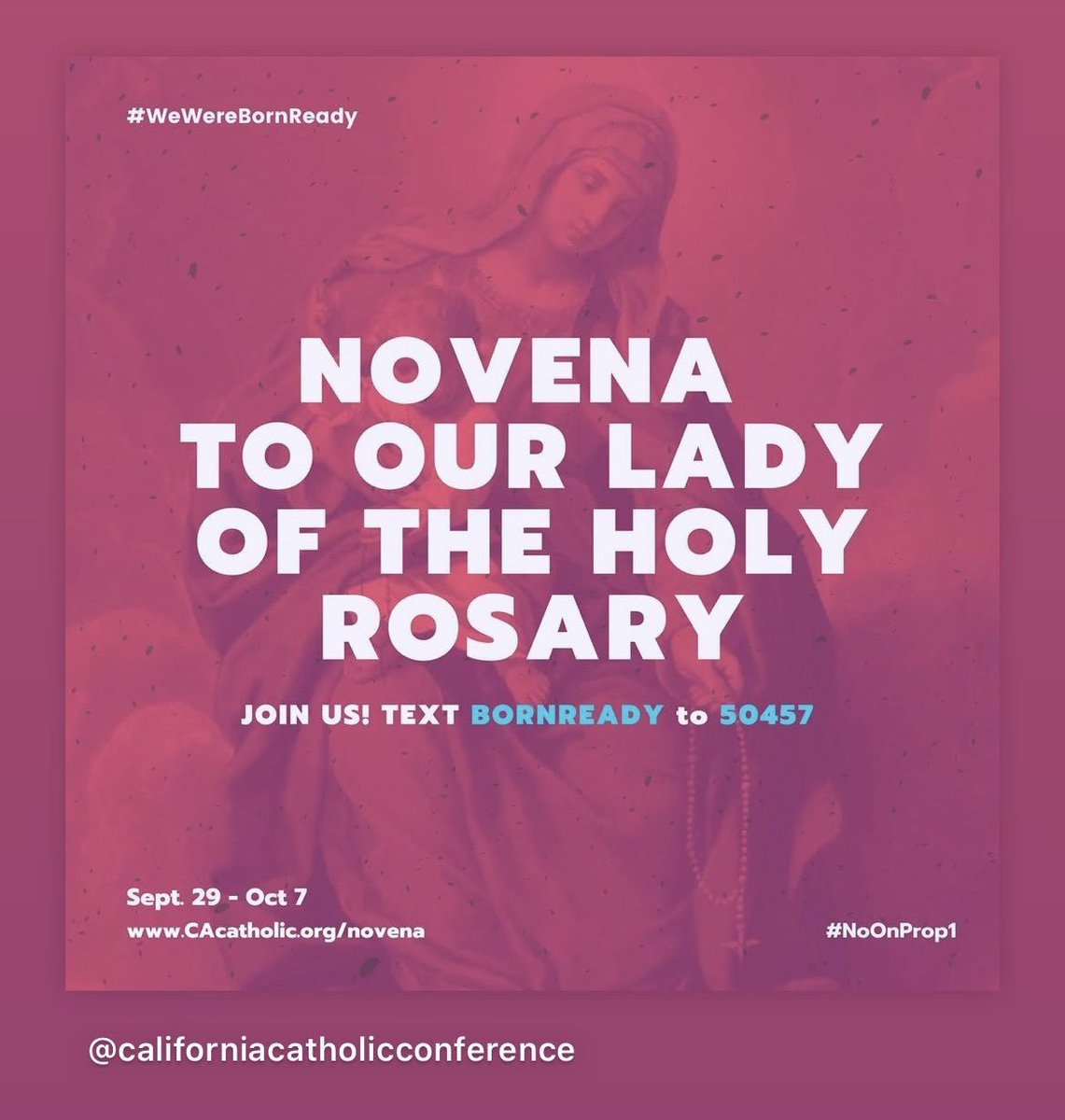 Defeat Prop 1! Join in #praying this #Here is more information about what Proposition 1 is about cacatholic.org/prop1 

mcusercontent.com/d3b5cb4e7e50ed…

cacatholic.org/novena  

#SDSHSisters