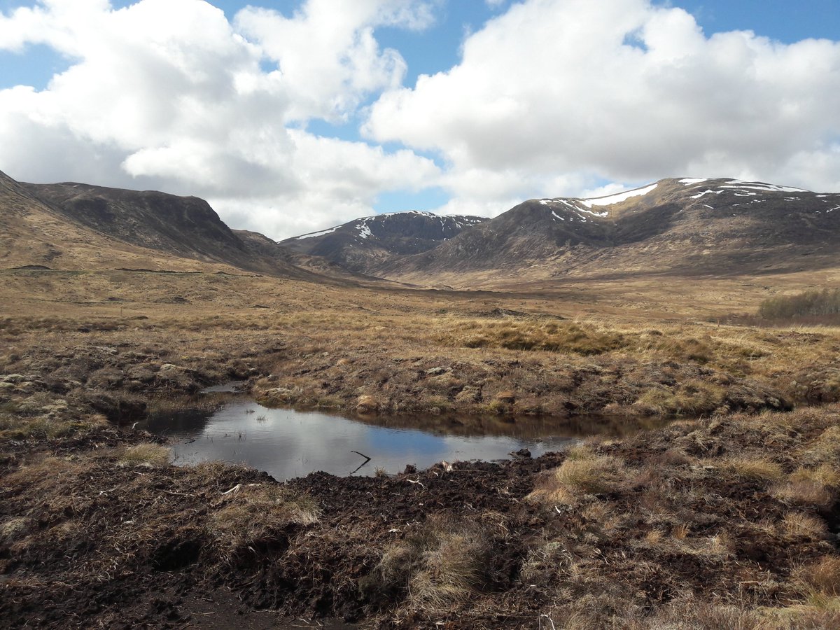 Althea Davies (@palyally) on Twitter photo Interested in long-term ecology? Come and do a PhD on the ecology & palaeoecology of the Anthropocene with me, Anne Magurran <a href="/bioTIMEdb/">BioTIME</a> & <a href="/UK_CEH/">UK Centre for Ecology & Hydrology</a> via <a href="/IapetusDTP/">IAPETUS DTP</a> iapetus2.ac.uk/studentships/t… Interested in long-term ecology? Come and do a PhD on the ecology & palaeoecology of the Anthropocene with me, Anne Magurran <a href="/bioTIMEdb/">BioTIME</a> & <a href="/UK_CEH/">UK Centre for Ecology & Hydrology</a> via <a href="/IapetusDTP/">IAPETUS DTP</a> iapetus2.ac.uk/studentships/t…
