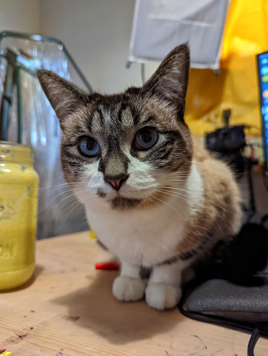 StudioSundays's tweet photo. My queen 👑💙 #BlueTheCEO https://t.co/O1t1ceDAHQ