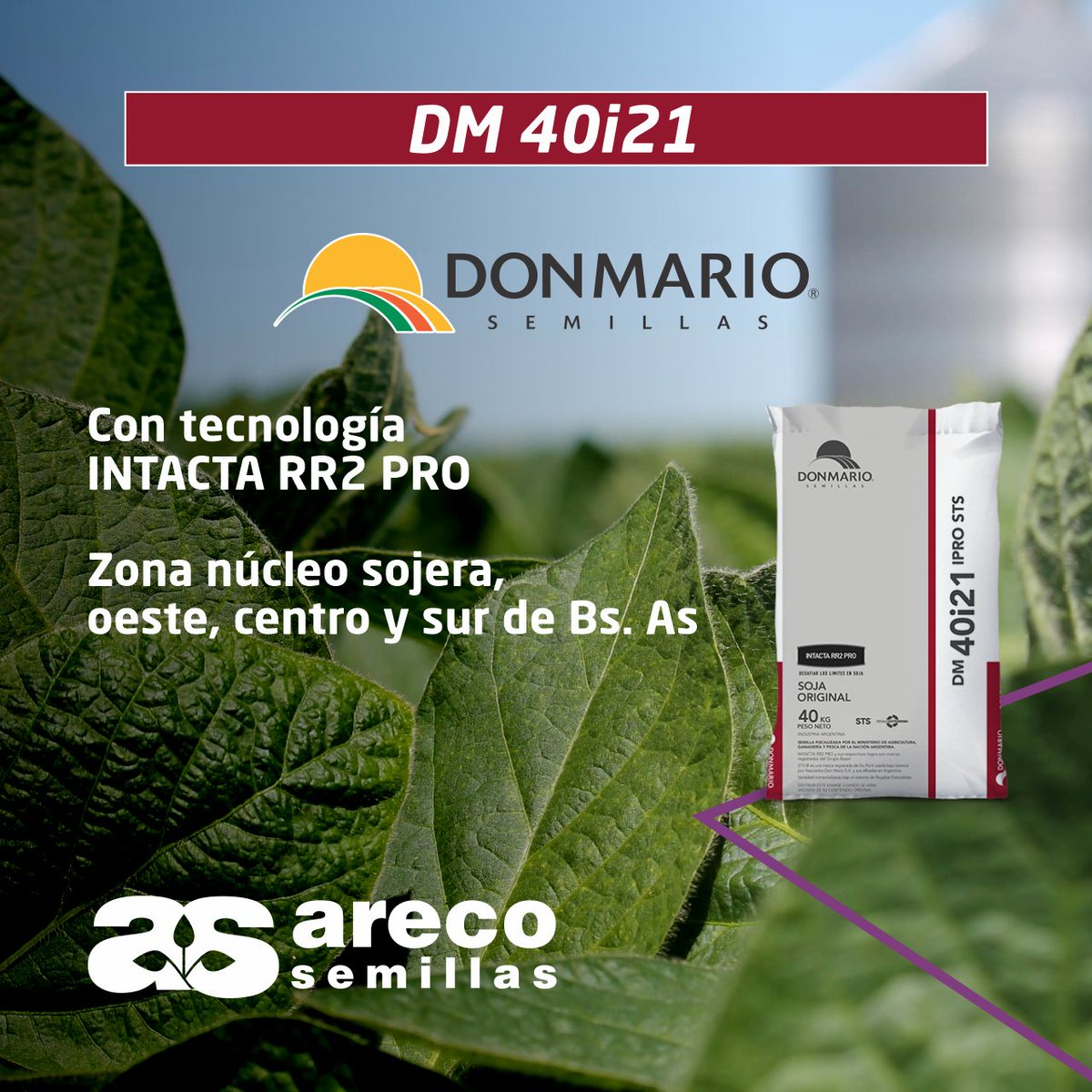 En 𝘼𝙧𝙚𝙘𝙤 𝙎𝙚𝙢𝙞𝙡𝙡𝙖𝙨 tenemos stock disponible de la #Soja #DM40i21 de @DONMARIOoficial con tecnología INTACTA RR2 PRO
Contactanos
𝘌𝘴𝘵𝘢𝘮𝘰𝘴 𝘢𝘭 𝘴𝘦𝘳𝘷𝘪𝘤𝘪𝘰 𝘥𝘦 𝘵𝘶 #𝘊𝘢𝘮𝘱𝘰 ‍🙋‍♂️
#Agricultura #Agro #Campo #InsumosAgrícolas #SolucionesAgrícolas #Agronomía