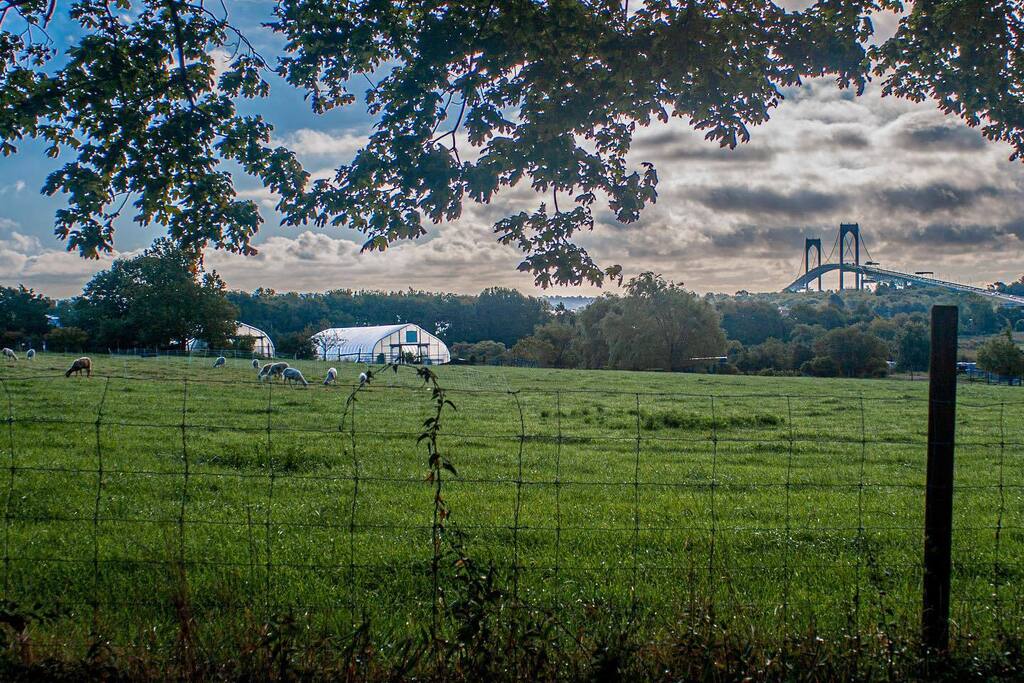 jimfeldman's tweet photo. From farm to bridge. #JamestownRI #Jamestown #RI #RhodeIsland #OnlyInJamestown #NewportBridge #ClaibornePellBridge #Newport #landscape #landscapephotography #photography https://t.co/XoDq53Vau8 https://t.co/bFA06TGoqc