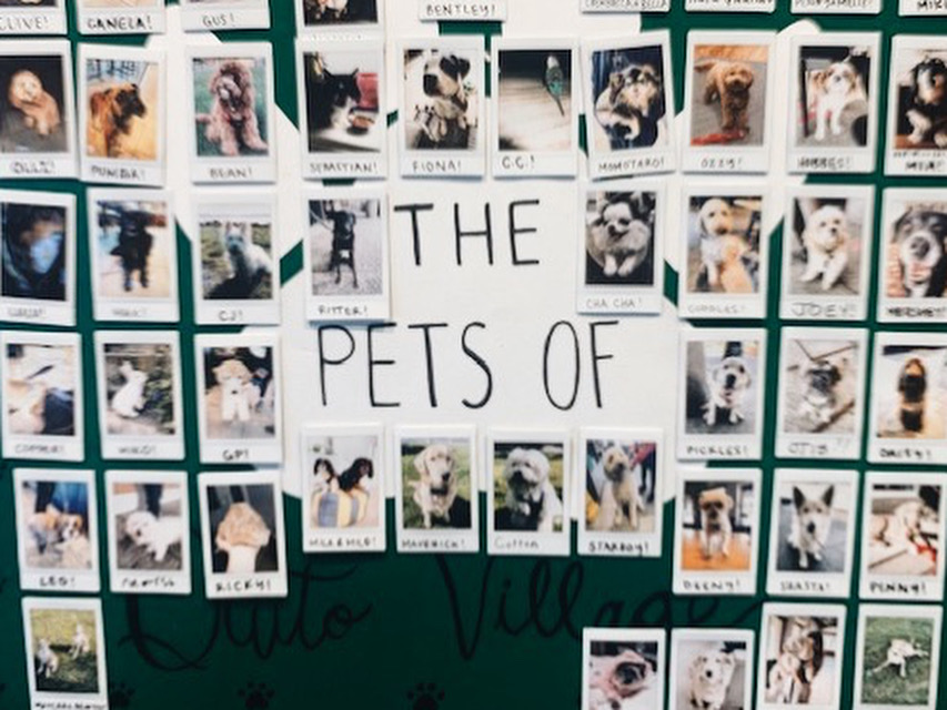 KPowellFYI's tweet photo. One of young people’s #3bigquestions is Belonging: Where do I fit?
Love how this Bay Area Starbucks highlights the community’s pets to let those pet owners know they belong.
When we care about what others care about, we care about them.
#stickyfaith #growingyoung https://t.co/zmkbStwSj1