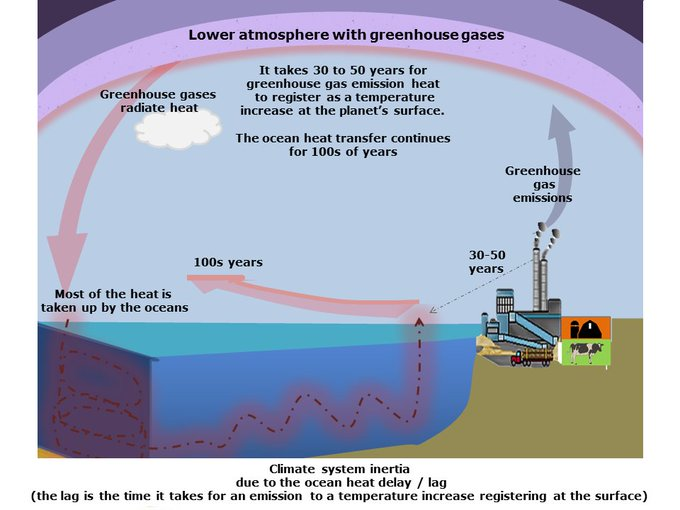 GO GREEN tweet media