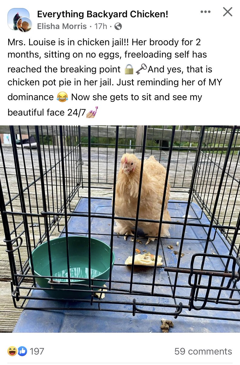 mollyelwood's tweet image. I hate people.