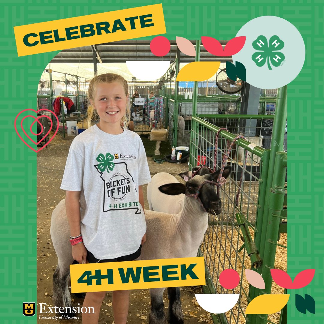 MO Farmers Care (@mofarmerscare) on Twitter photo More opportunity, more smiles!
<a href="/missouri4h/">Missouri 4-H</a> offers an #Opportunity4All kids across the state to get involved in valuable experiences that forever shape them.
Help us celebrate #National4HWeek by sharing your favorite 4-H memories with us!
#MoFarmersCare | #MO4H More opportunity, more smiles!
<a href="/missouri4h/">Missouri 4-H</a> offers an #Opportunity4All kids across the state to get involved in valuable experiences that forever shape them.
Help us celebrate #National4HWeek by sharing your favorite 4-H memories with us!
#MoFarmersCare | #MO4H