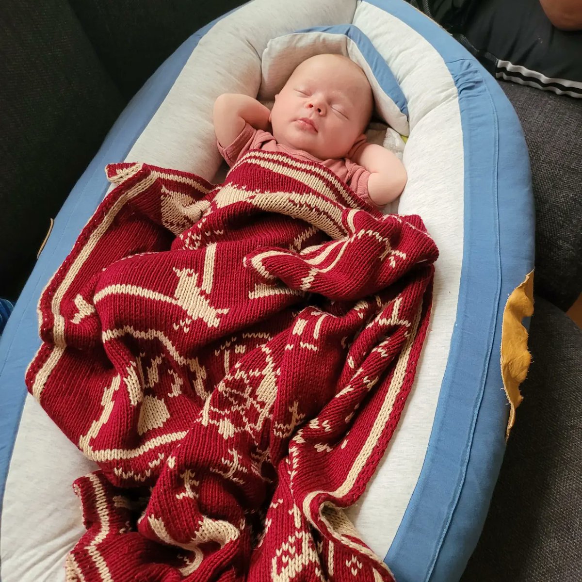 Ell Eastwood tweet media