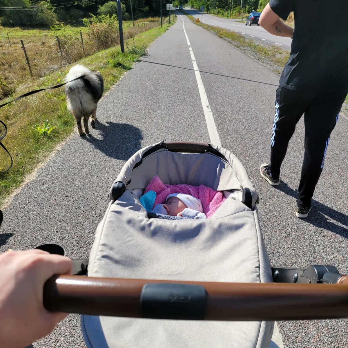 Ell Eastwood tweet media