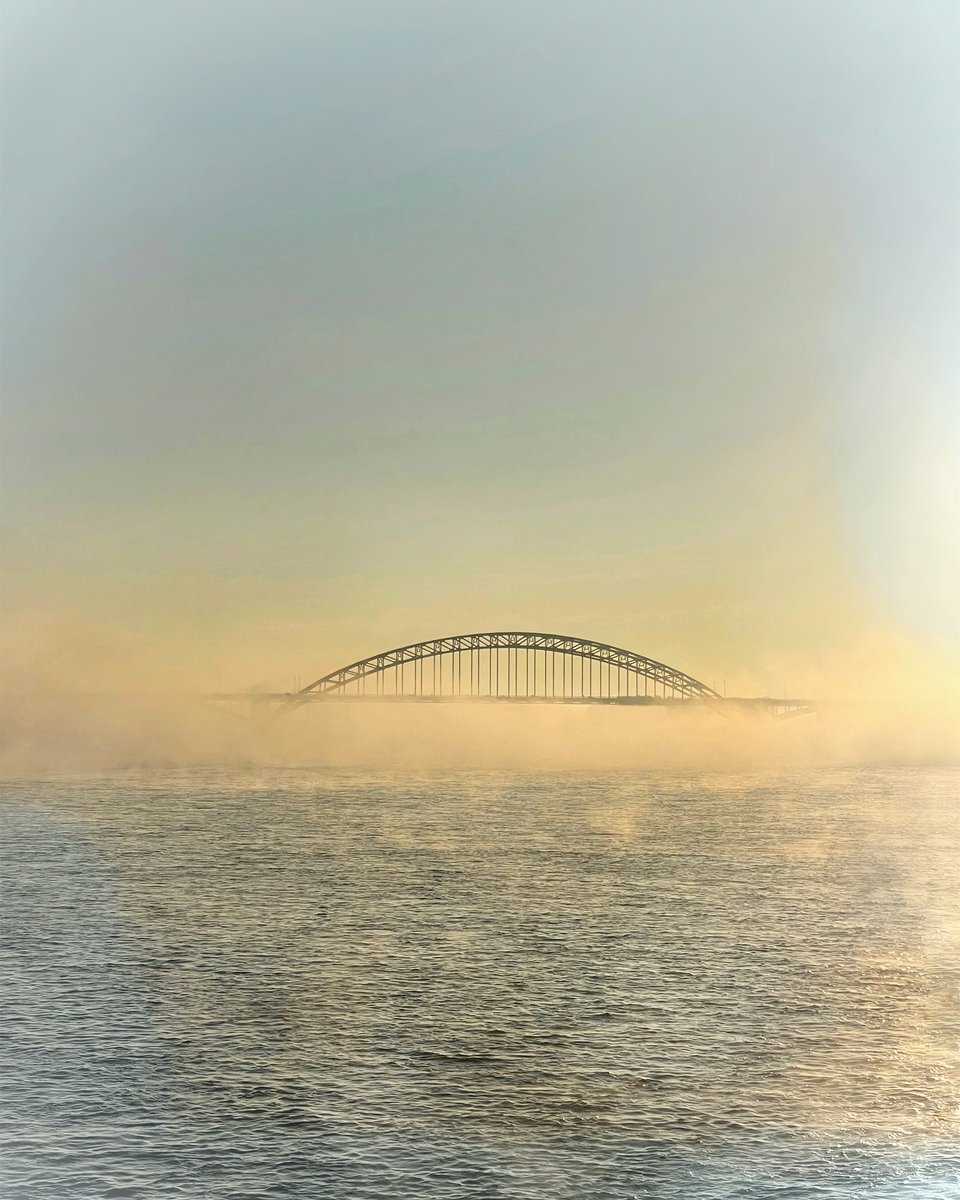 SowieSophie's tweet photo. Onze @WaalbrugNijmeg1 vanmorgen: in de watten gelegd én in het zonnetje gezet
#nijmegen https://t.co/kbHVLZv5pS