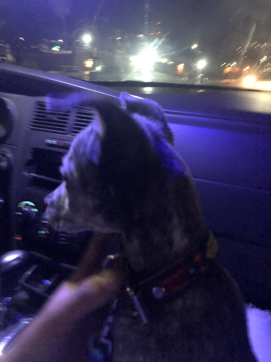 blackemo100's tweet image. MIAMOR BANGCHAN FELIZ CUMPLE ESTE ES MI BBSITO SE LLAMA BLU BANG CHAN BIRTHDAY D4 💗
#BangChansWoofgang
#BangChan #방찬