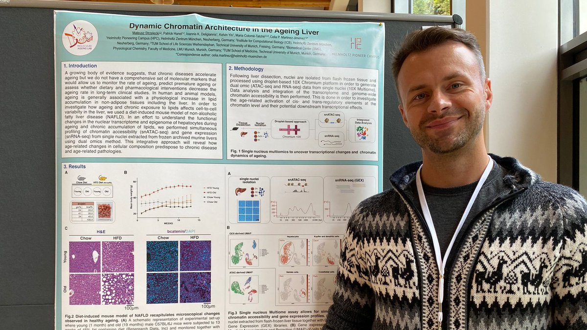 MolAgeingLab's tweet photo. Introducing Mateusz, flow cytometrist turned PhD student. He is investigating the link between #ageing and metabolic diseases using single-cell multiomics. #SingleCell #multiomic #FlowCytometry https://t.co/vxk7ZkibTF