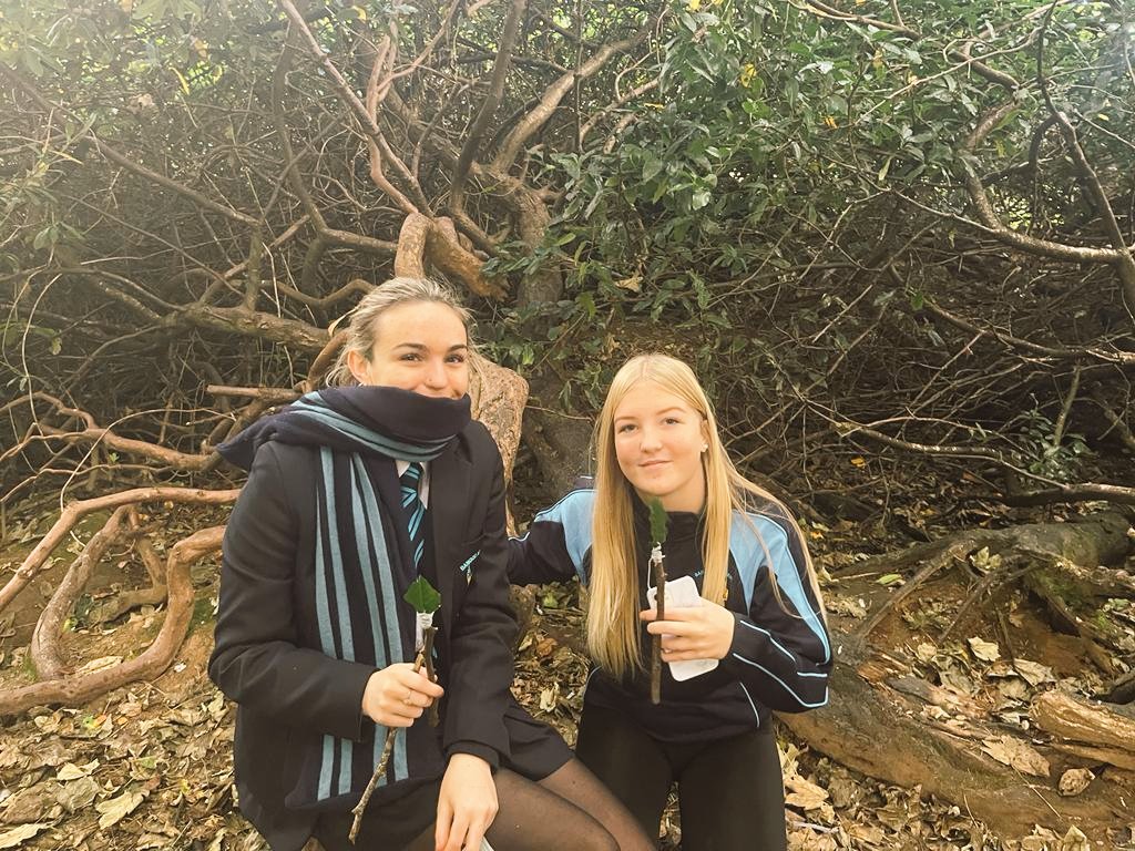 Yr10's had a lovely morning making their Nature paintbrushes outdoors.