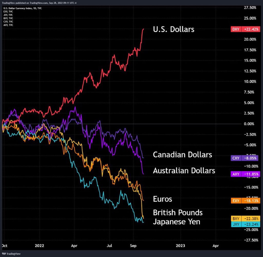 ZssBecker's tweet photo. More of these exist than ever before and they are hitting record extreme euphoric strength.

Where do you think they are gonna end up? https://t.co/SugQel6HHC