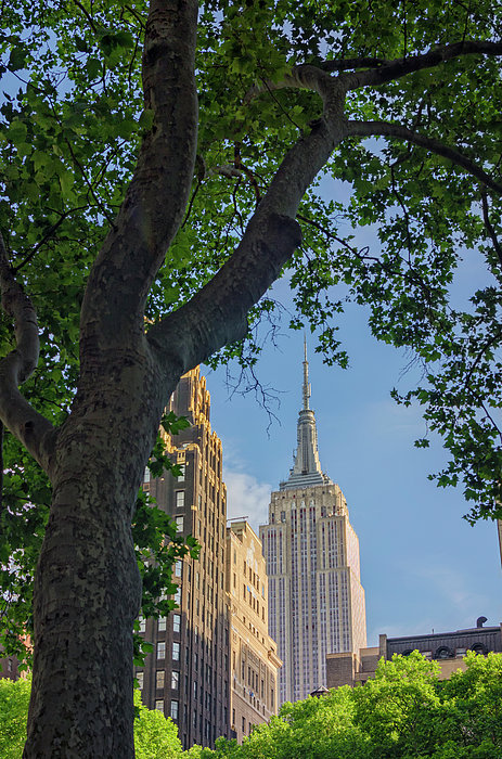 Empire State Building buff.ly/2NsrOMN #BuyIntoArt #NYC #ILoveNY #nikonphotography