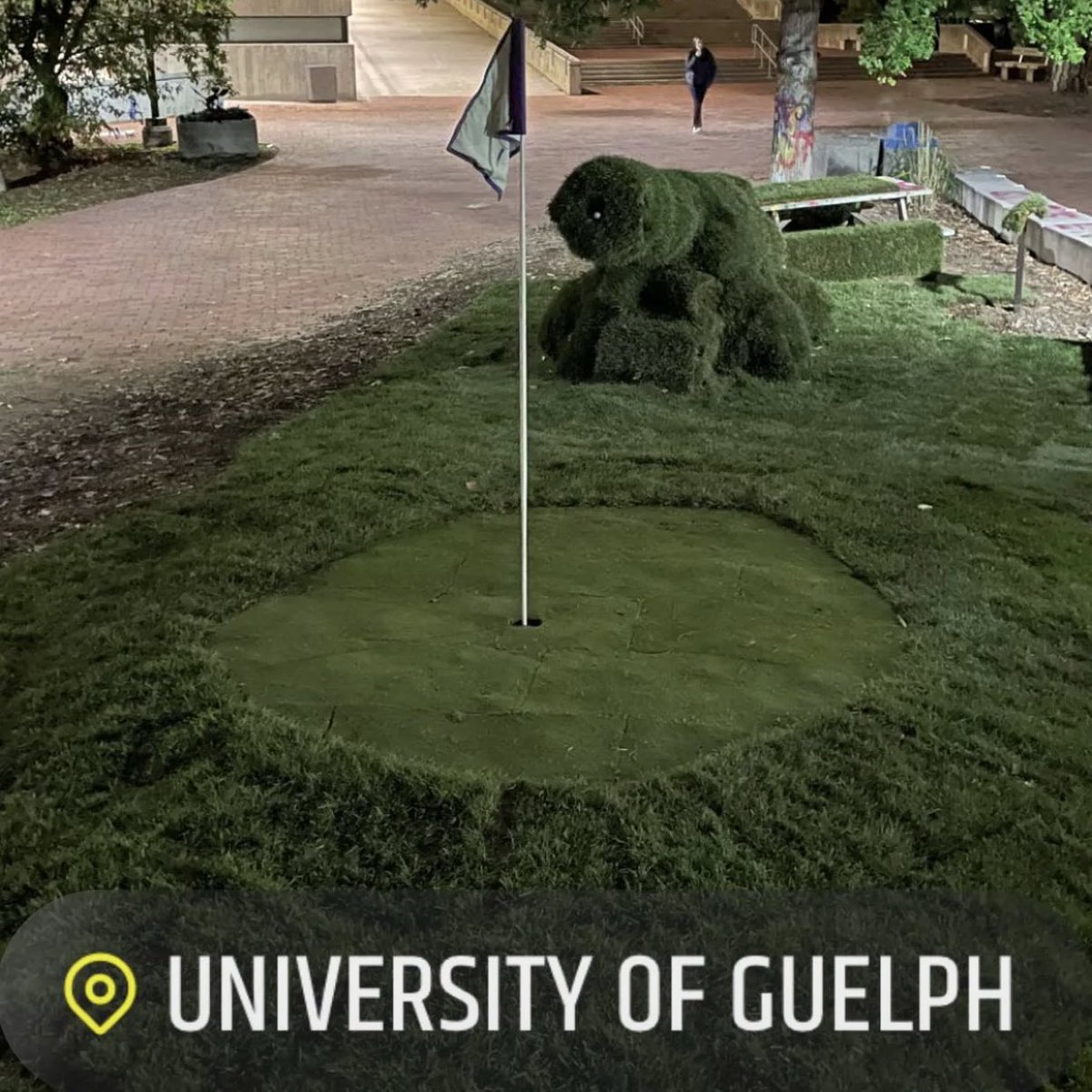 University of Guelph Turf Club tweet media