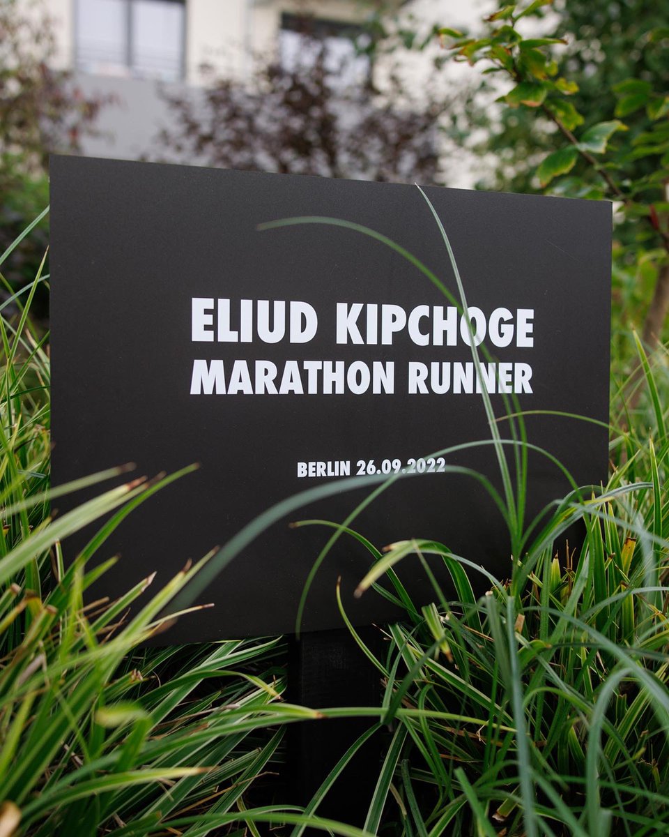 EliudKipchoge's tweet photo. Every day is earth day for me. 🌳 https://t.co/eCiWsOKeFB