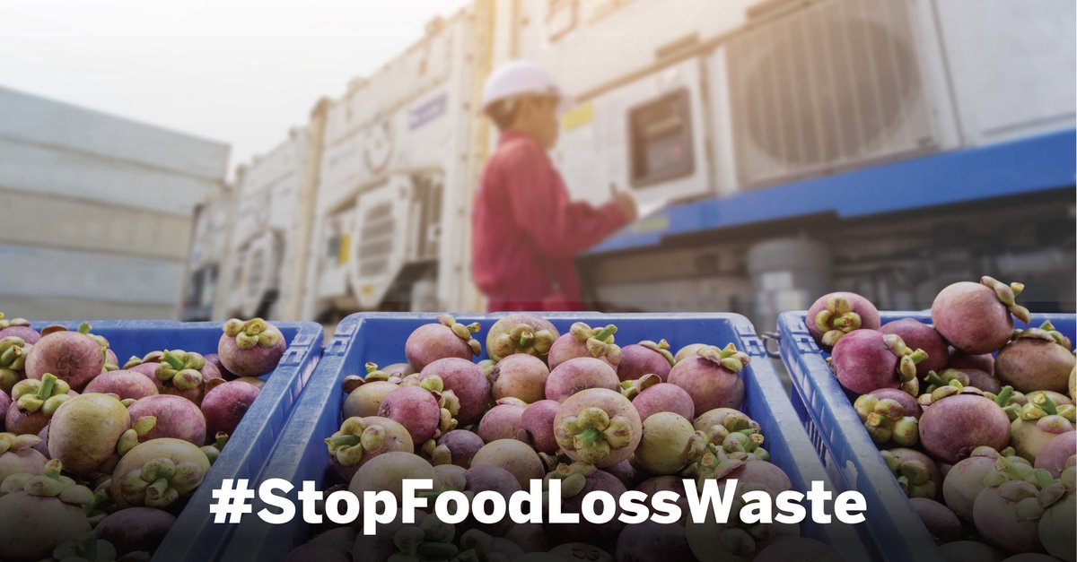 Food loss and waste have a major impact on the environment. Resilient supply chains through #BusinessNetworks provide the needed transparency to better manage resources and provide essential information, to drive a more #sustainable future. #StopFoodLossWaste