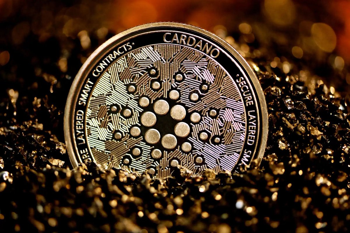 BraisResearch's tweet photo. ‼️ Cardano (#ADA) ultrapassa 3,9 milhões de endereços de carteira. 
Info: A #Cardano usa modelo #UTXO, que pemite que centenas de #ativos sejam movimentados em uma única transmissão. Enquanto #blockchains de modelo contábil precisam mover uma de cada vez.
.
.
#Noticias #crypto https://t.co/DmPghalF0f