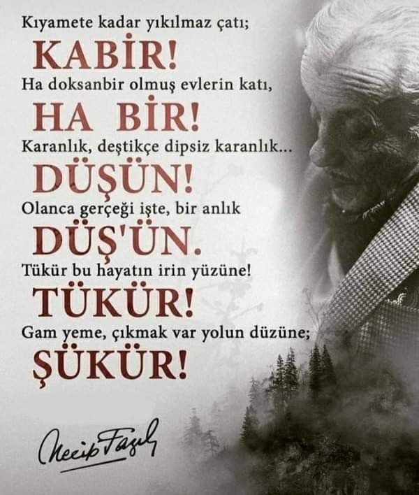 GurkasTalha's tweet photo. https://t.co/VX4AkCsoUr