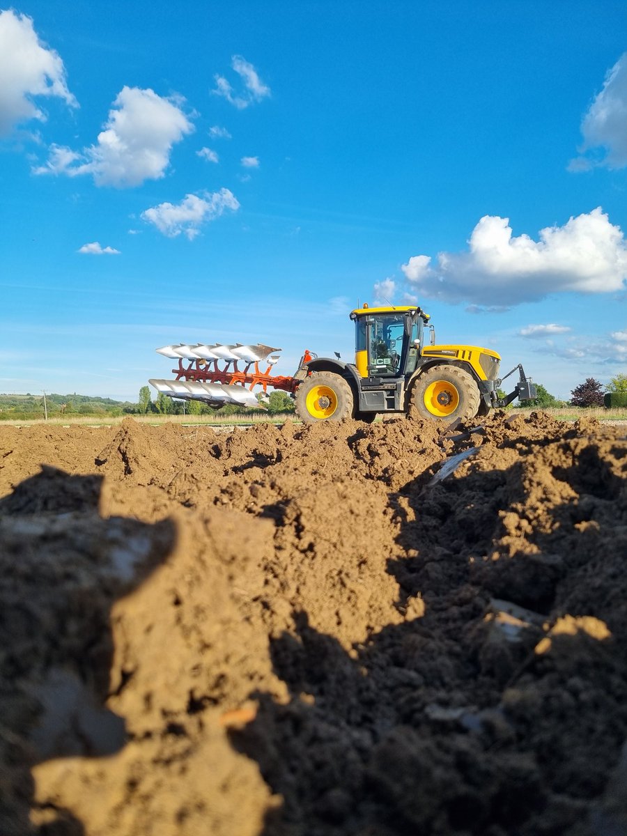 Dan Hawes tweet media