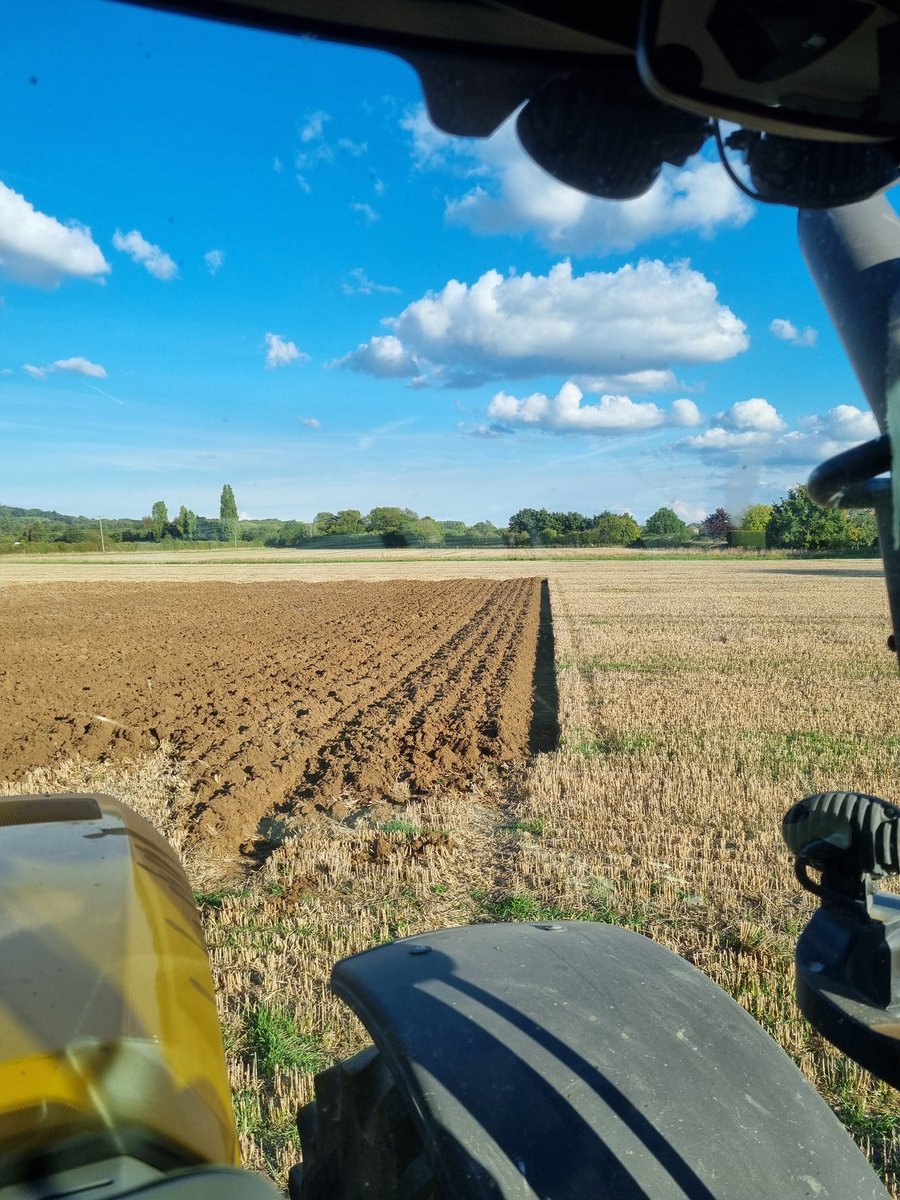 Dan Hawes tweet media