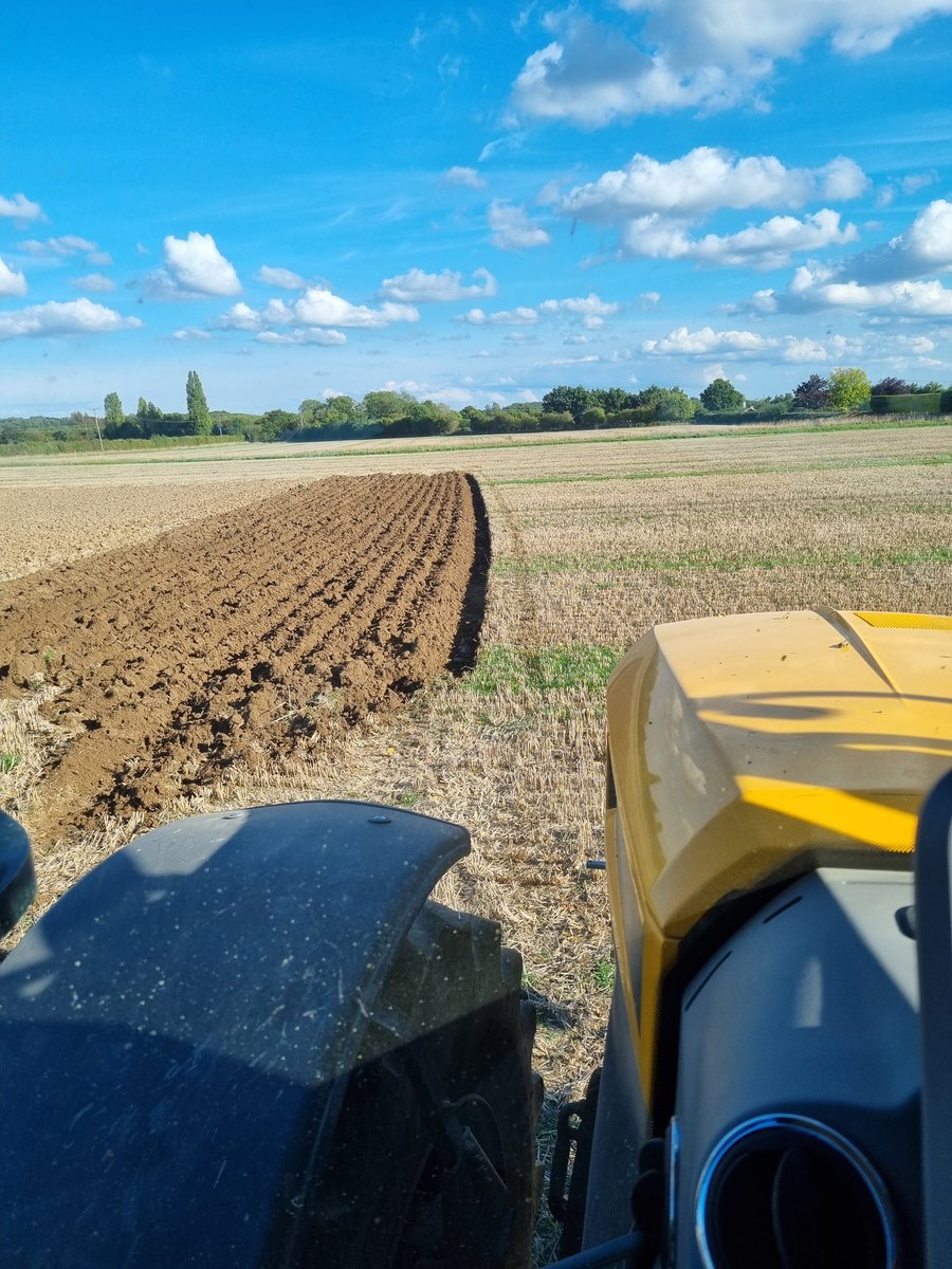 Dan Hawes tweet media