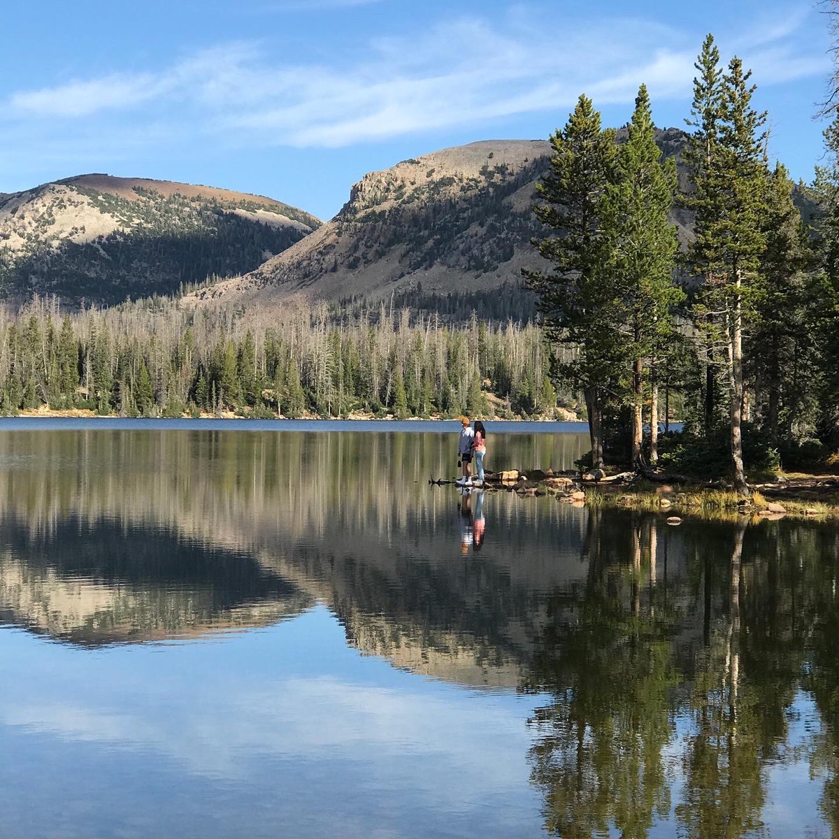 South Summit CTE tweet media