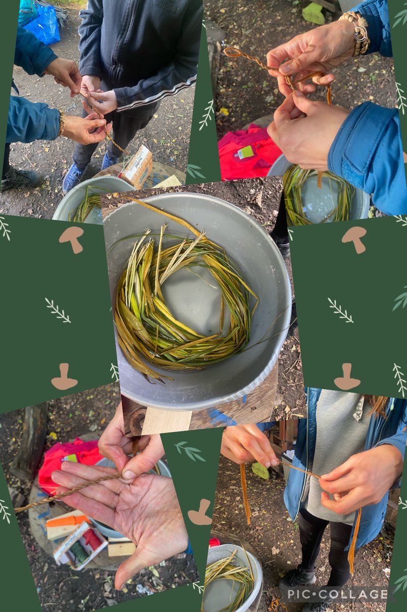 RTforestschool tweet media