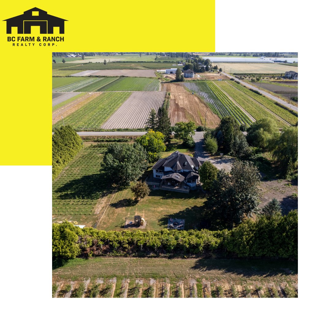 BCFarmandRanch's tweet photo. NEW PRICE! 
34465 Hallert Road, Abbotsford

https://t.co/93RNQgN3xu https://t.co/ZSPJiH78wY