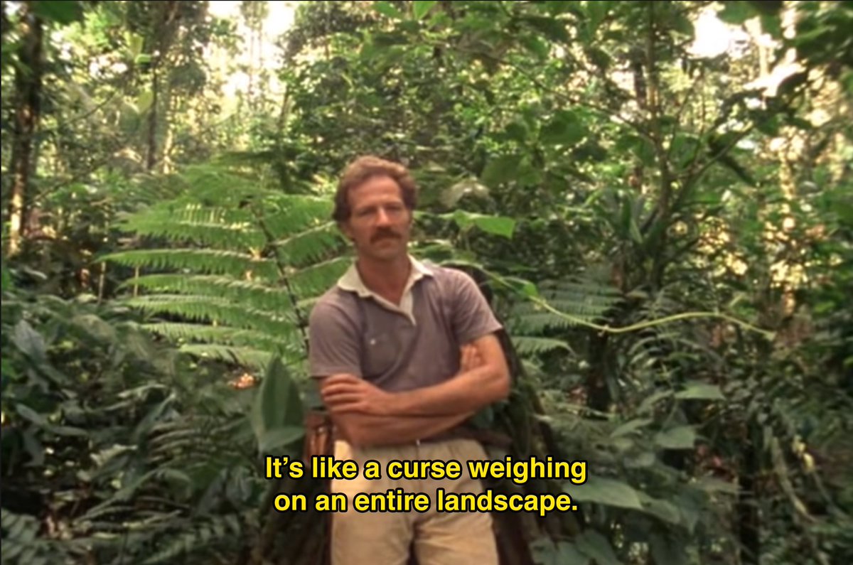 ItsGregKon's tweet photo. Looking at twitter dot com got me feeling like jungle Werner Herzog https://t.co/EUgDKllhrv