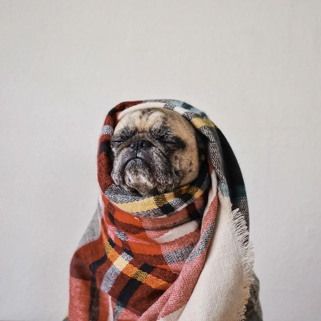 That cozy feeling you get when you know October is right around the corner :scarf:

#ToKnowThemIsToLoveThem #SweaterWeather
@jeremyveach