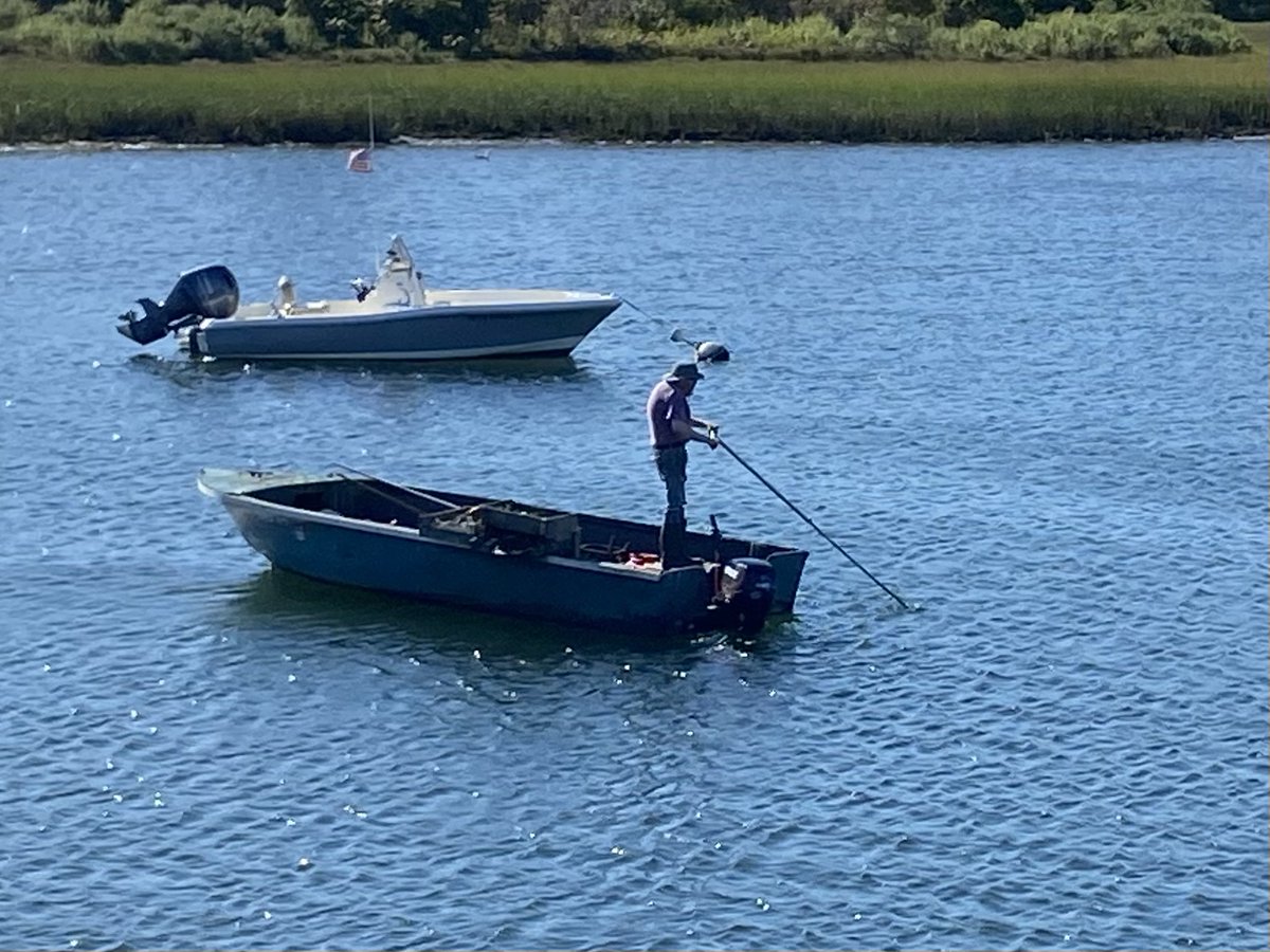 FishAlliance's tweet photo. This type of shellfishing used to be commonplace but is now only practiced by an intrepid few.  Has anyone tried it?
#capecod #fishalliance #commercialfishing #shellfishing https://t.co/Mp9WX1Cw58