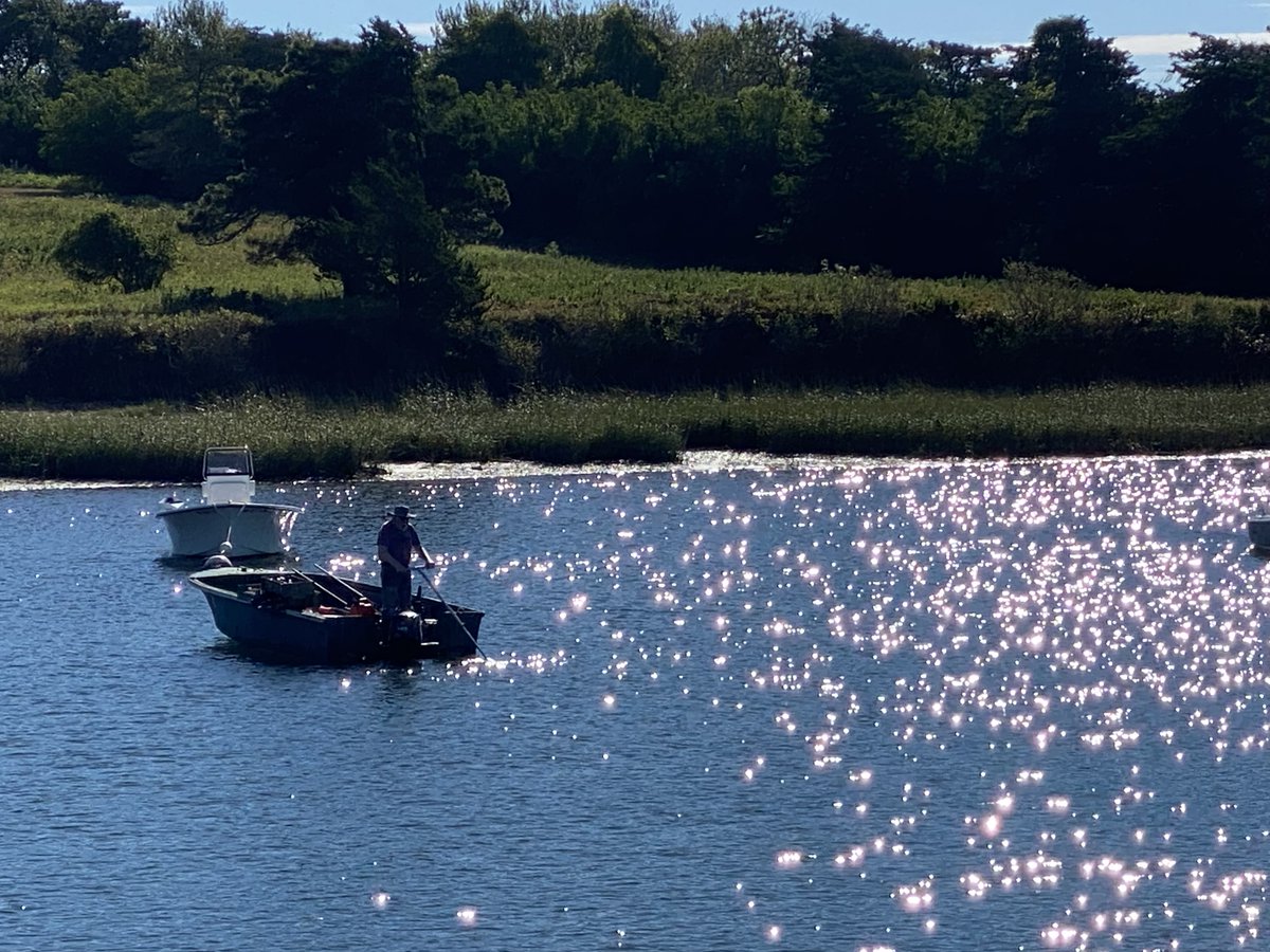 FishAlliance's tweet photo. This type of shellfishing used to be commonplace but is now only practiced by an intrepid few.  Has anyone tried it?
#capecod #fishalliance #commercialfishing #shellfishing https://t.co/Mp9WX1Cw58