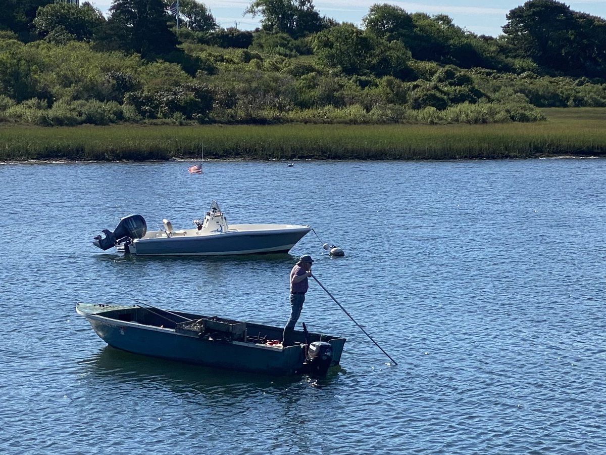 FishAlliance's tweet photo. This type of shellfishing used to be commonplace but is now only practiced by an intrepid few.  Has anyone tried it?
#capecod #fishalliance #commercialfishing #shellfishing https://t.co/Mp9WX1Cw58