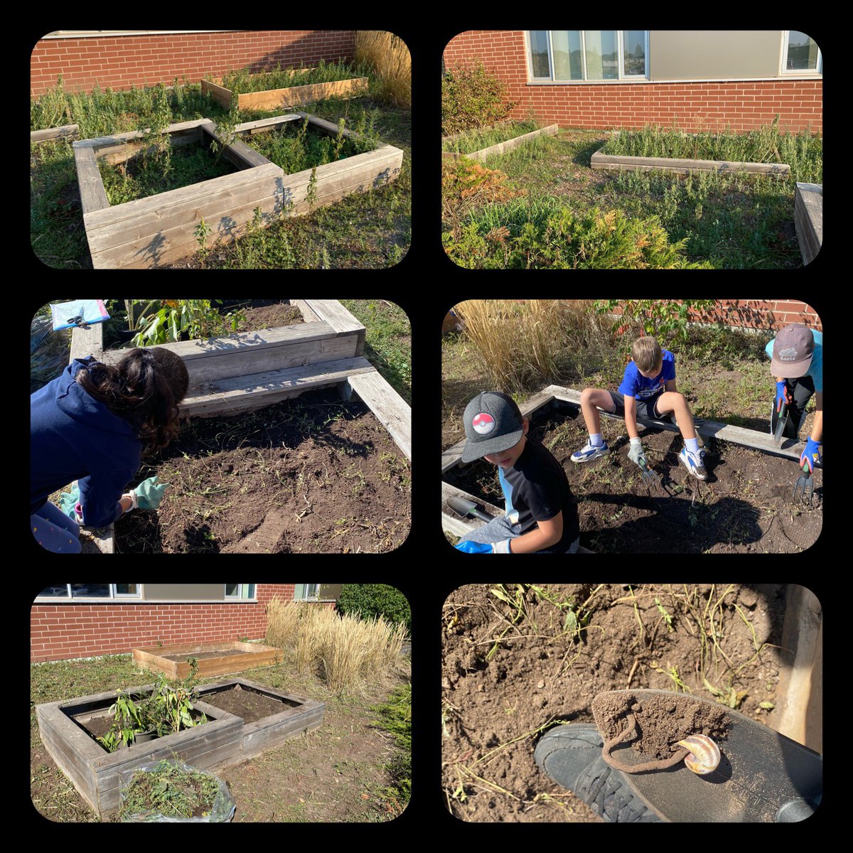 _Mrs_Madden's tweet photo. Some amazing students @JWBoichPS helped to weed our garden boxes today! 🤩 We will be adding pollinator plants soon to help our environment! 🦋 ❤️ 🌎 https://t.co/Nmooj8deBc