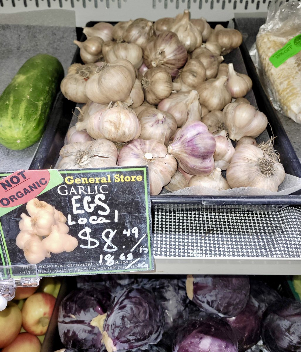 EarthsGeneral's tweet photo. Our very own EGS garlic, for a very limited time, lovingly grown and harvested very close to 'home'. #garlicforlife https://t.co/tmtDNop2iM