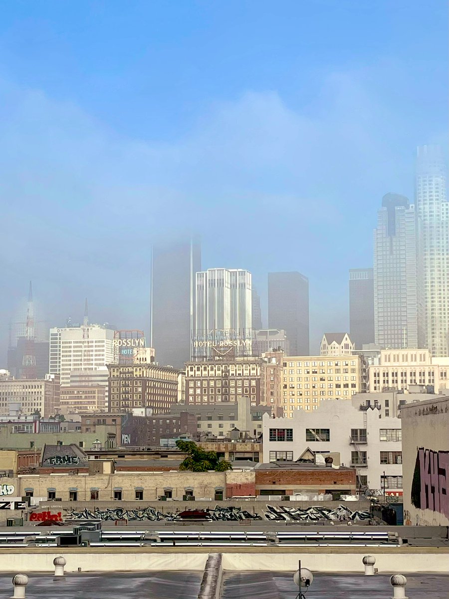 Megan McIsaac tweet media