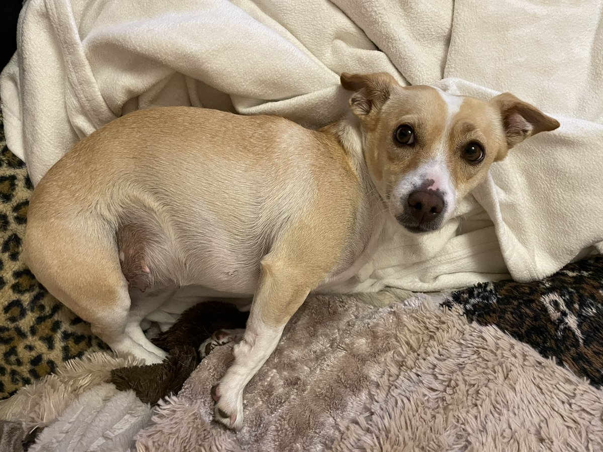 How is this sweet baby mine? I love her so much it hurts 💗