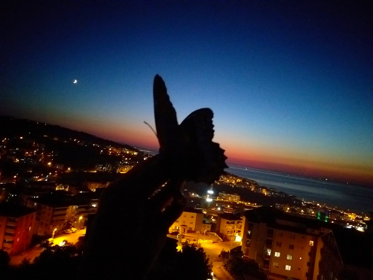 resim_art's tweet photo. TIRTILIN
   "Yolun sonu" dediğine
Allah "KELEBEK" demiş.🦋
Umutsuzluk yok! Gün gelir, gül de açar, bülbül de öter. Hiçbirimiz bizi bekleyen güzellikleri bilemeyiz ....
Huzurlu akşamlar https://t.co/gg7wLR92DA